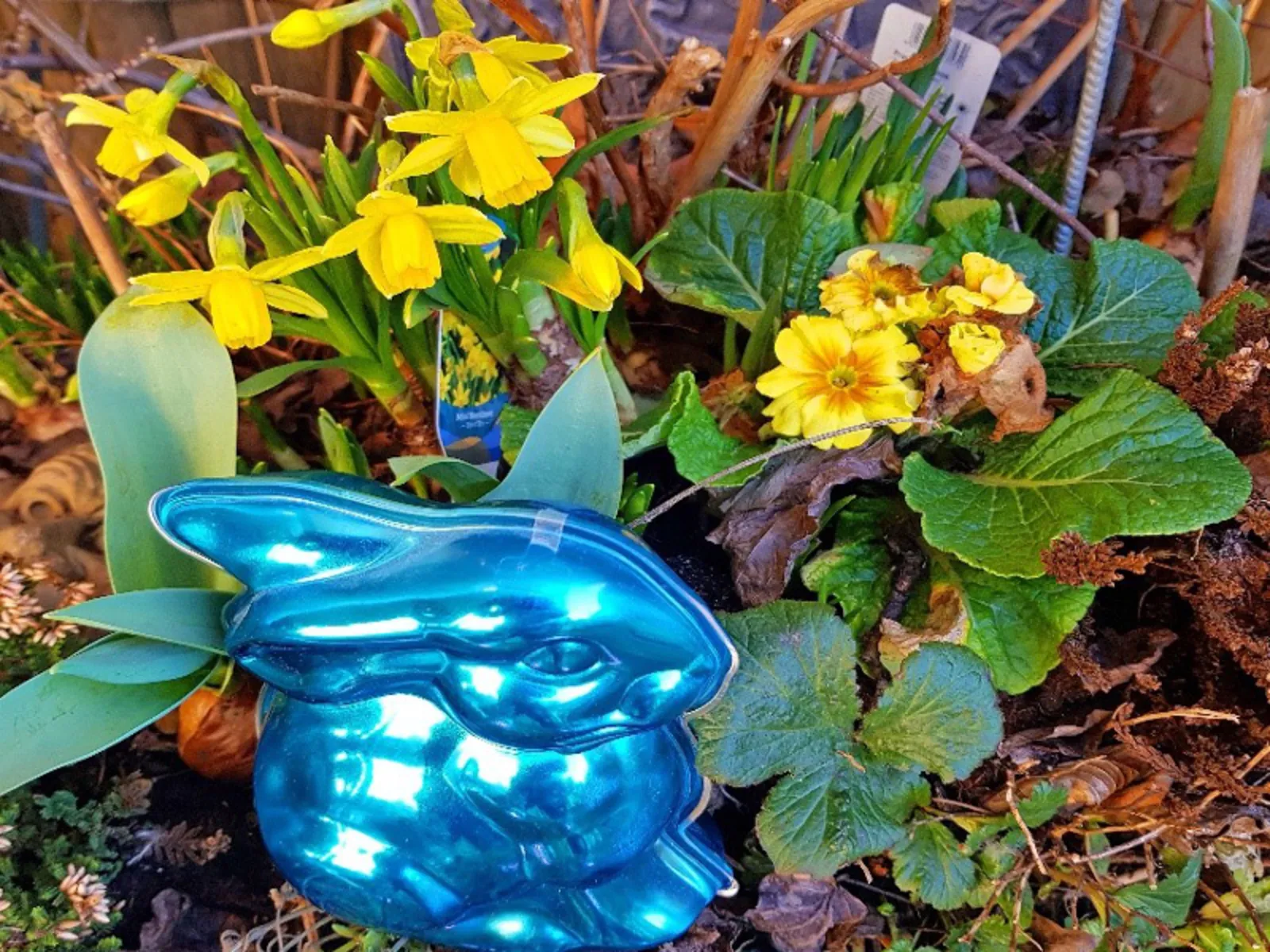 Auf dem Bild sind Frühlingsblumen und ein Schoko-Osterhase zu sehen.